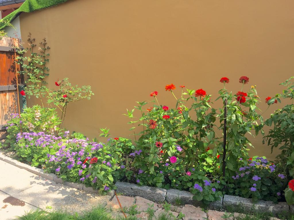 Book-A-Room Salzburg Apartment 5-6-7-8 ภายนอก รูปภาพ